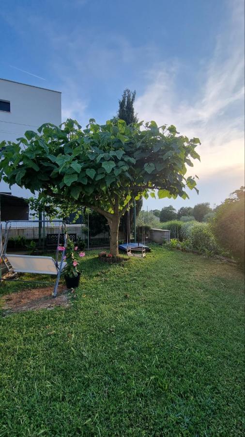 Guest House Jasmin Rovinj Exteriér fotografie